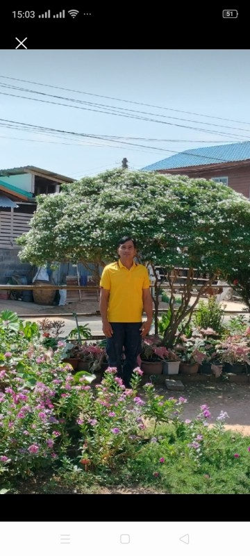 ผ้าไหมลายลูกแก้วชาวกูย