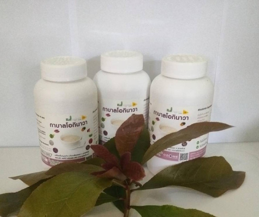 กาบาลโอกินาวา