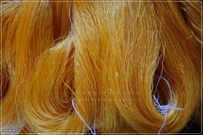 เส้นไหม