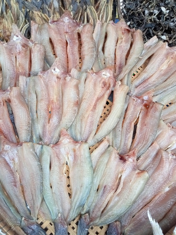 ปลาช่อนย่าง