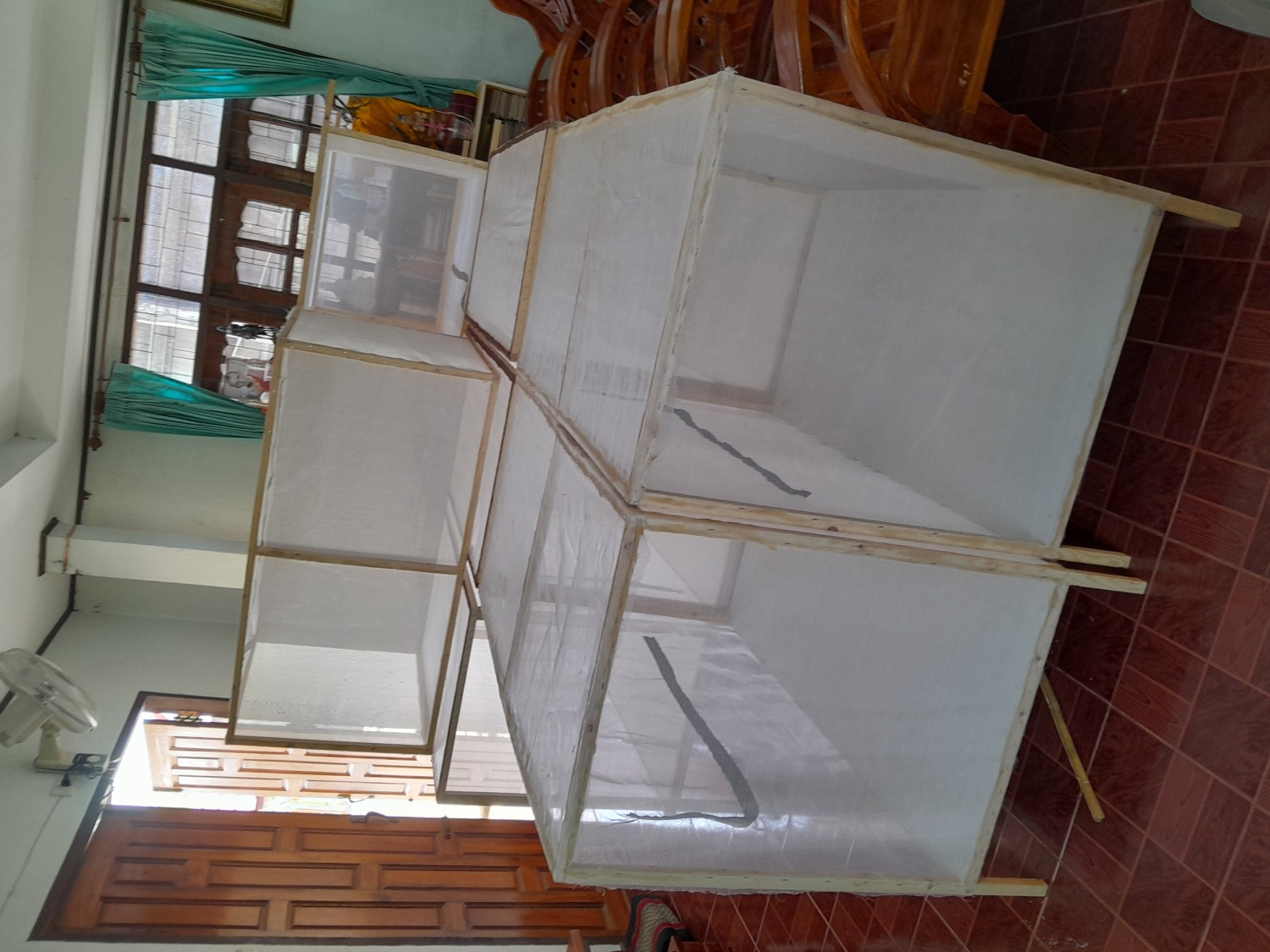 กรงตั๊กแตน