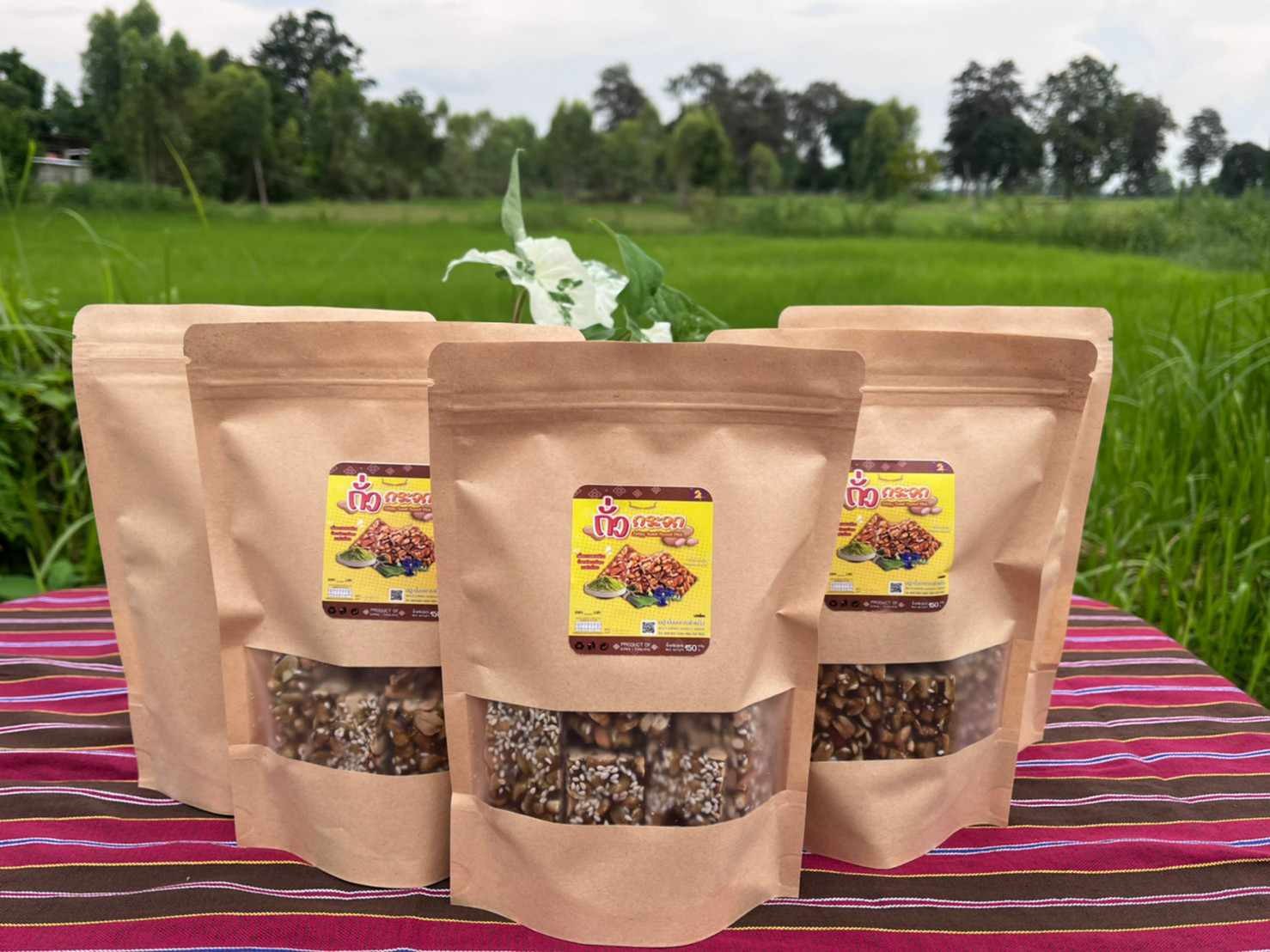 ถั่วกระจก