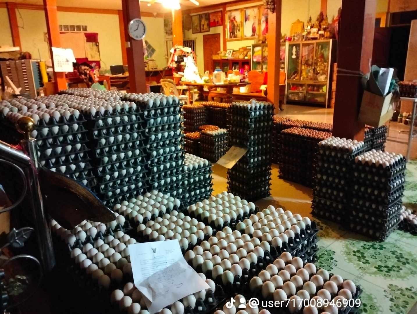 ไข่เป็ด