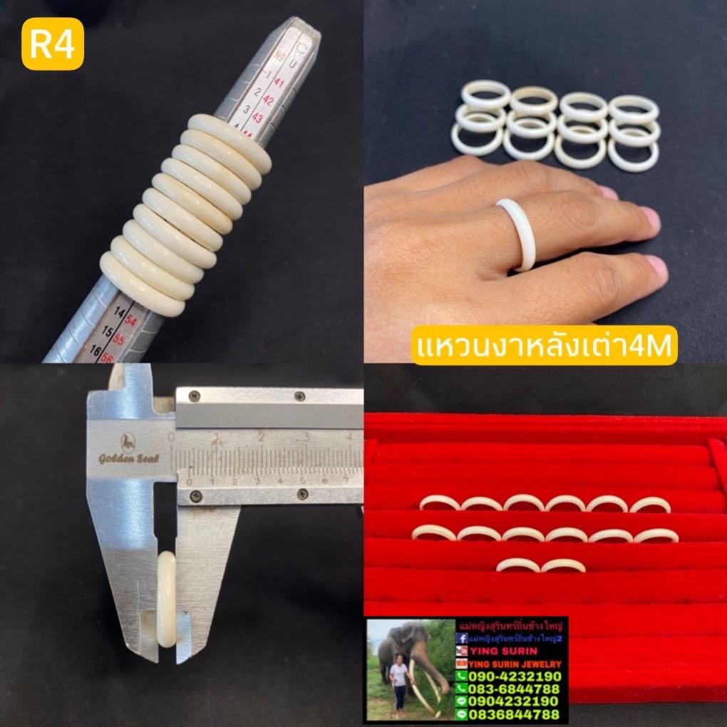 เเหวนงา  4มิล