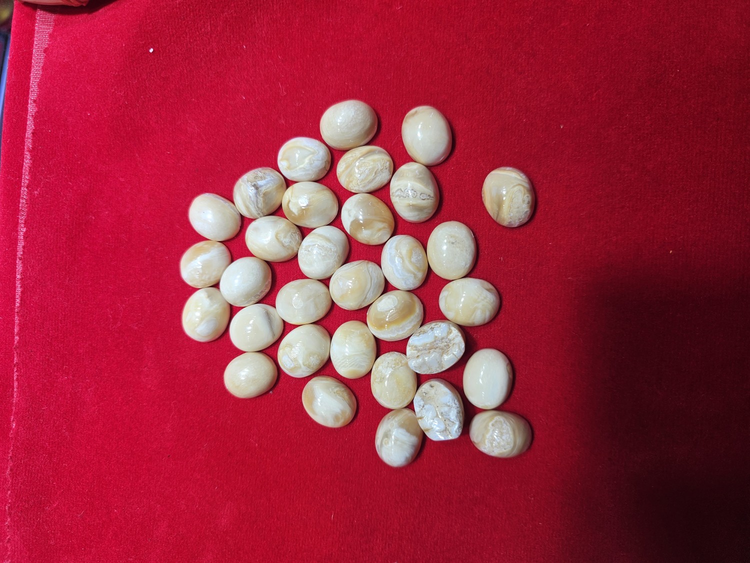 หัวแหวนฟันช้าง