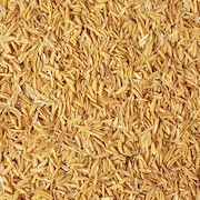 ข้าวเปลือกหอมสุรินทร์