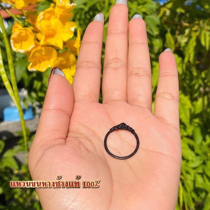 แหวนขนหางช้างสายเดี่ยว