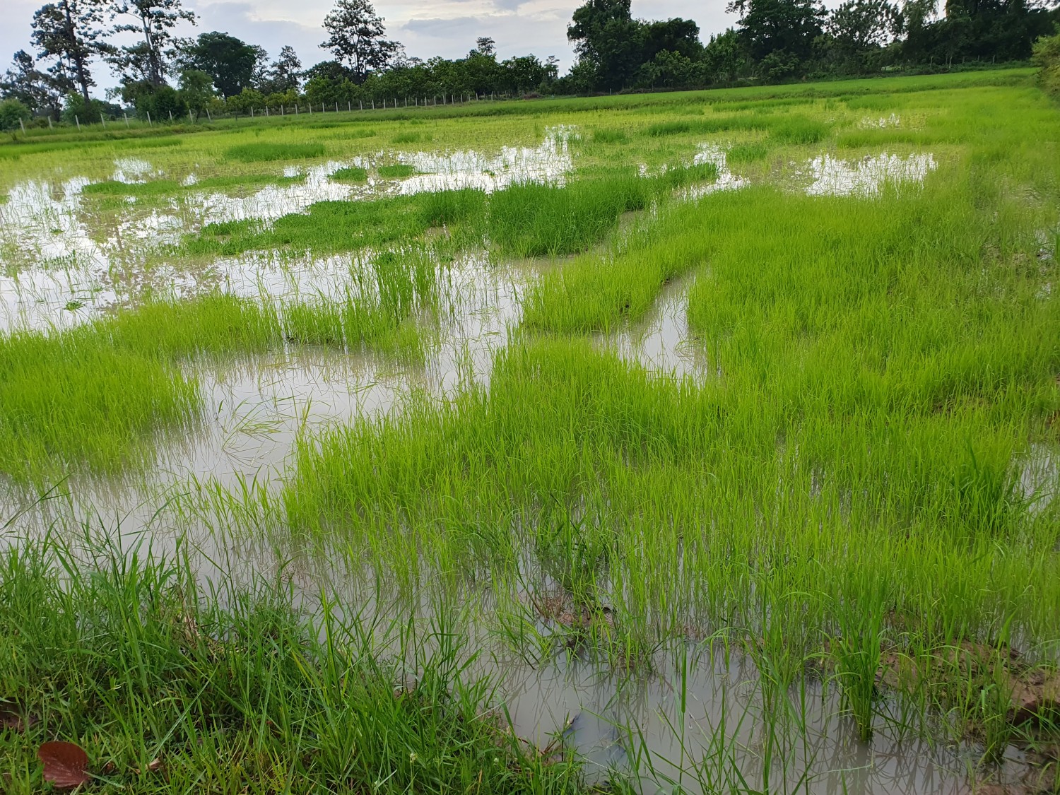 ดีต่อใจ