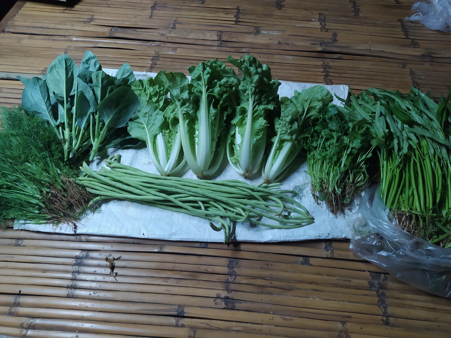 ผักกาดขาว