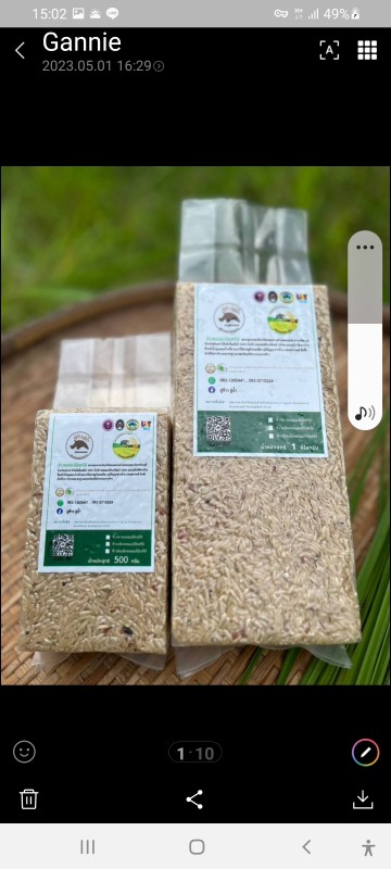 ข้าวหอมมะลิอินทรีย์