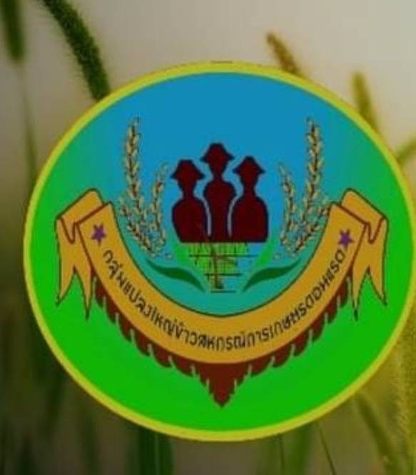 กลุ่มนาแปลงใหญ่ข้าวดอนแรด