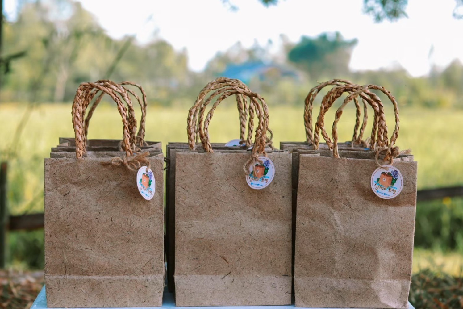 ถุงกระดาษจากผักตบชวา