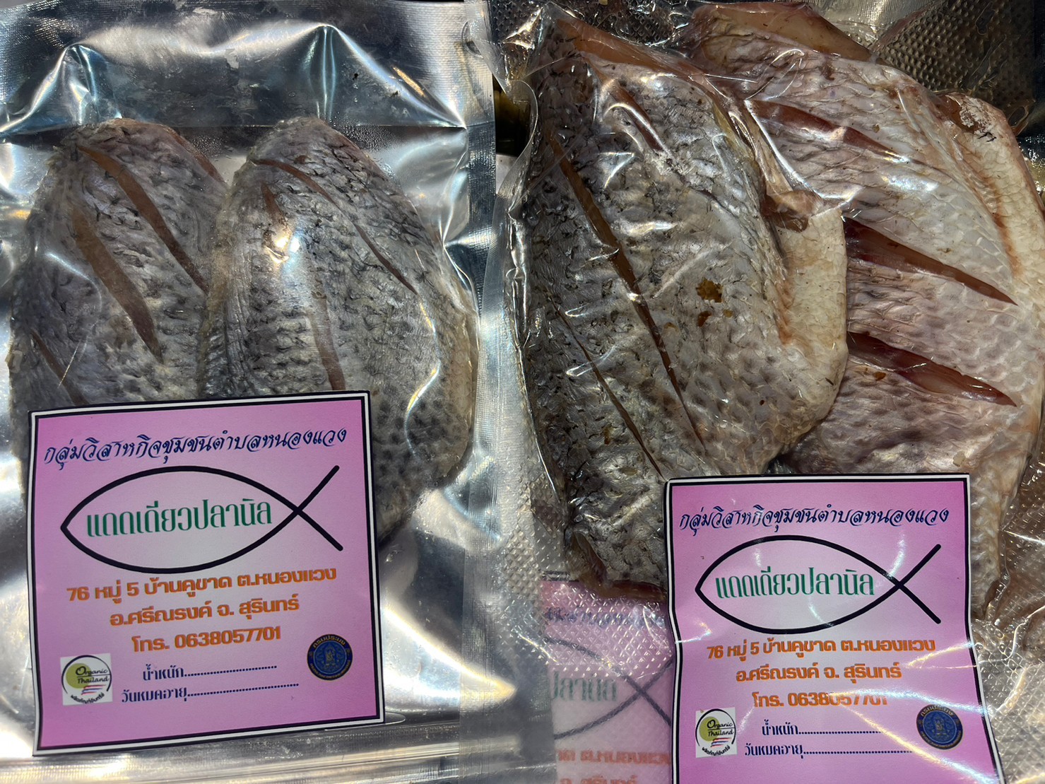 แดดเดียวปลานิล