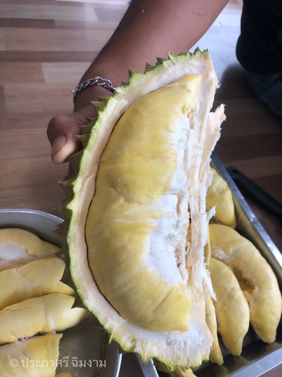 ทุเรียนหมอนทอง