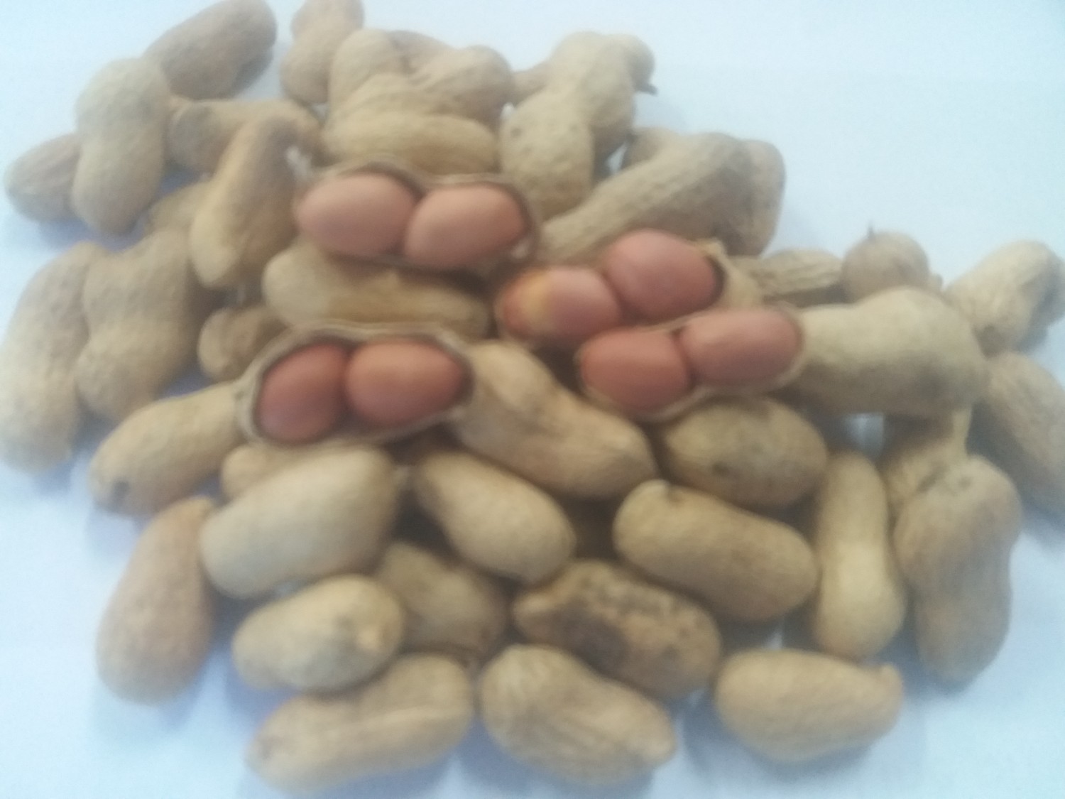 ถั่วคั่วทราย