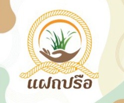 อำไพแฝกหลากสไตล์