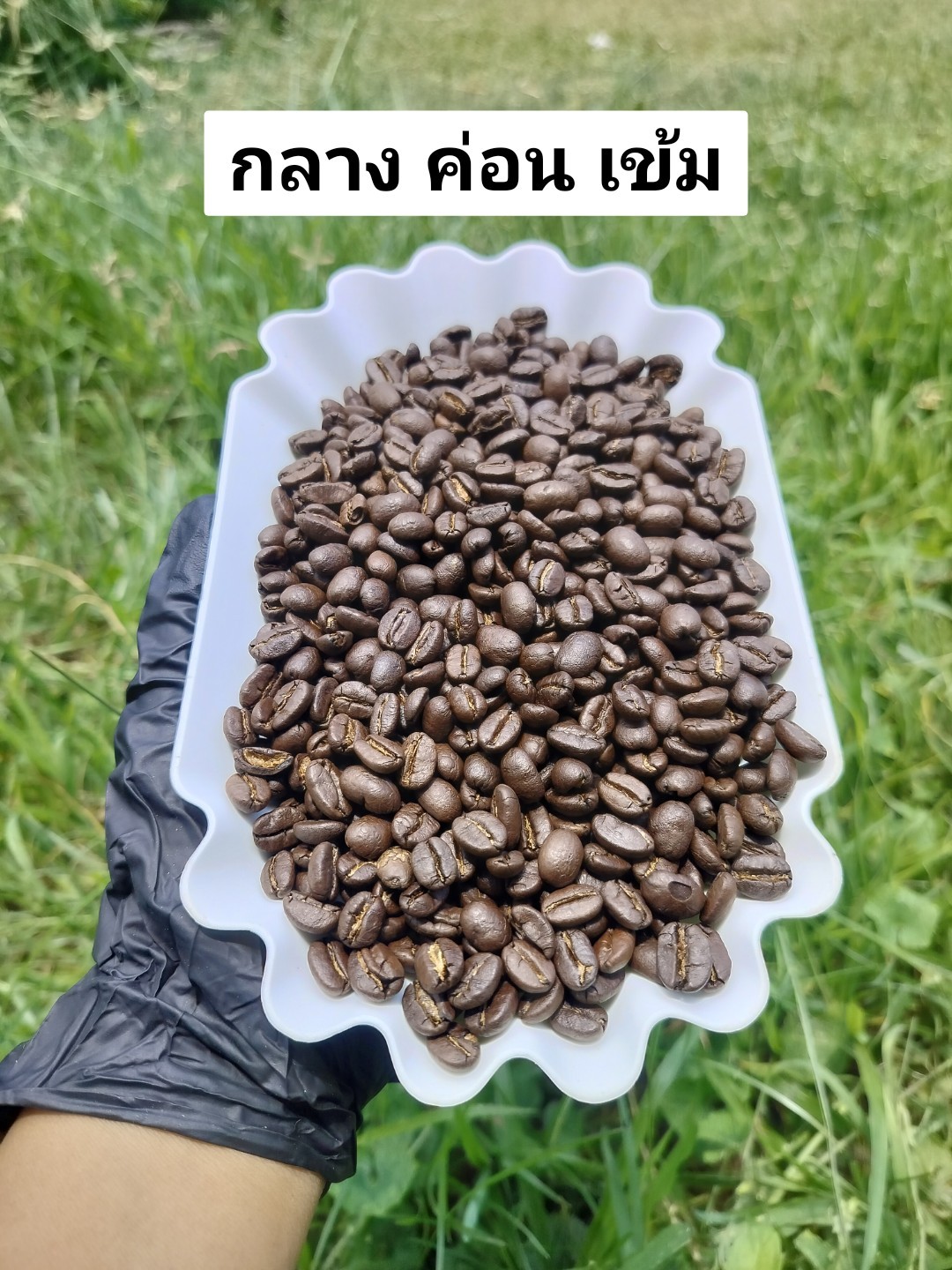 อาราบิก้าคั่วกลาง (ค่อนเข้ม)