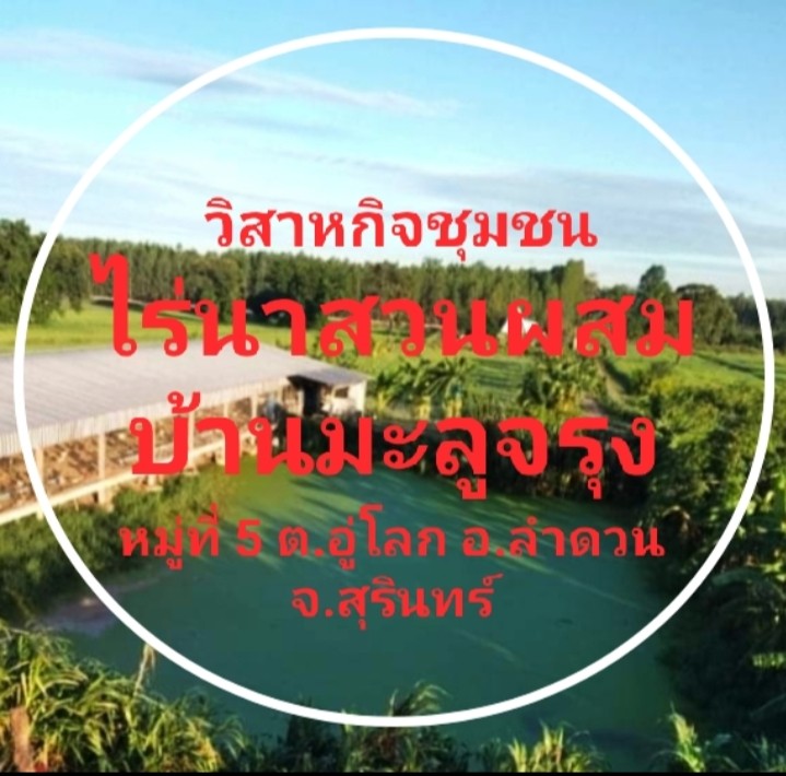 วิสาหกิจชุมชนไร่นาสวนผสมบ้านมะลูจรุง