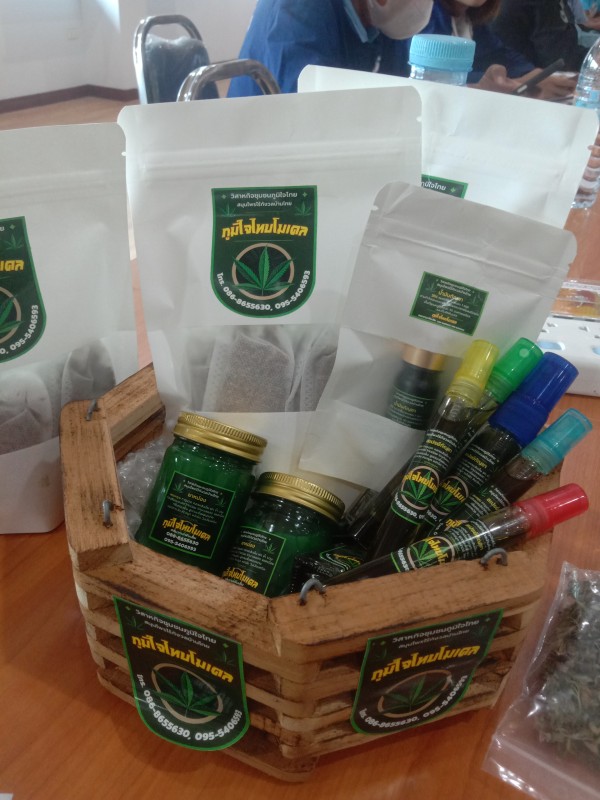 ภูมิใจไทย โมเดล