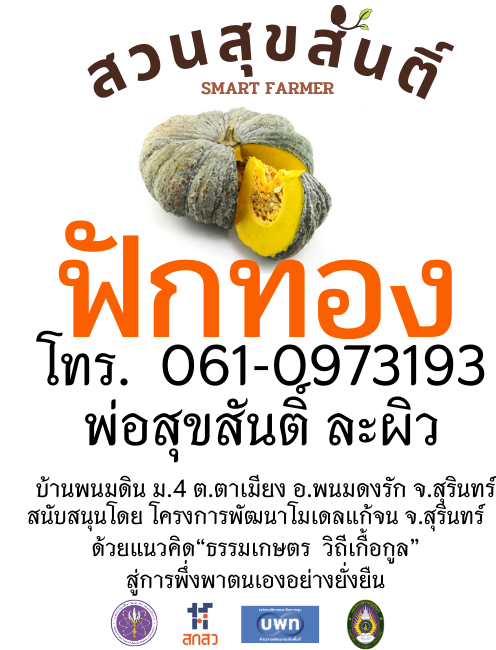 เมล็ดพันธุ์ฟักทอง