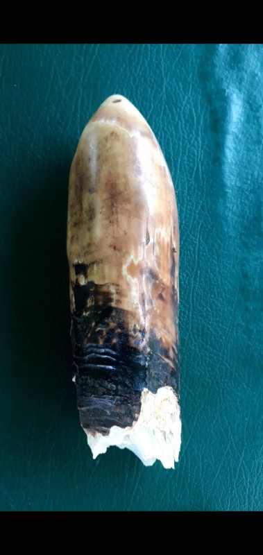 งาขายกำจัด