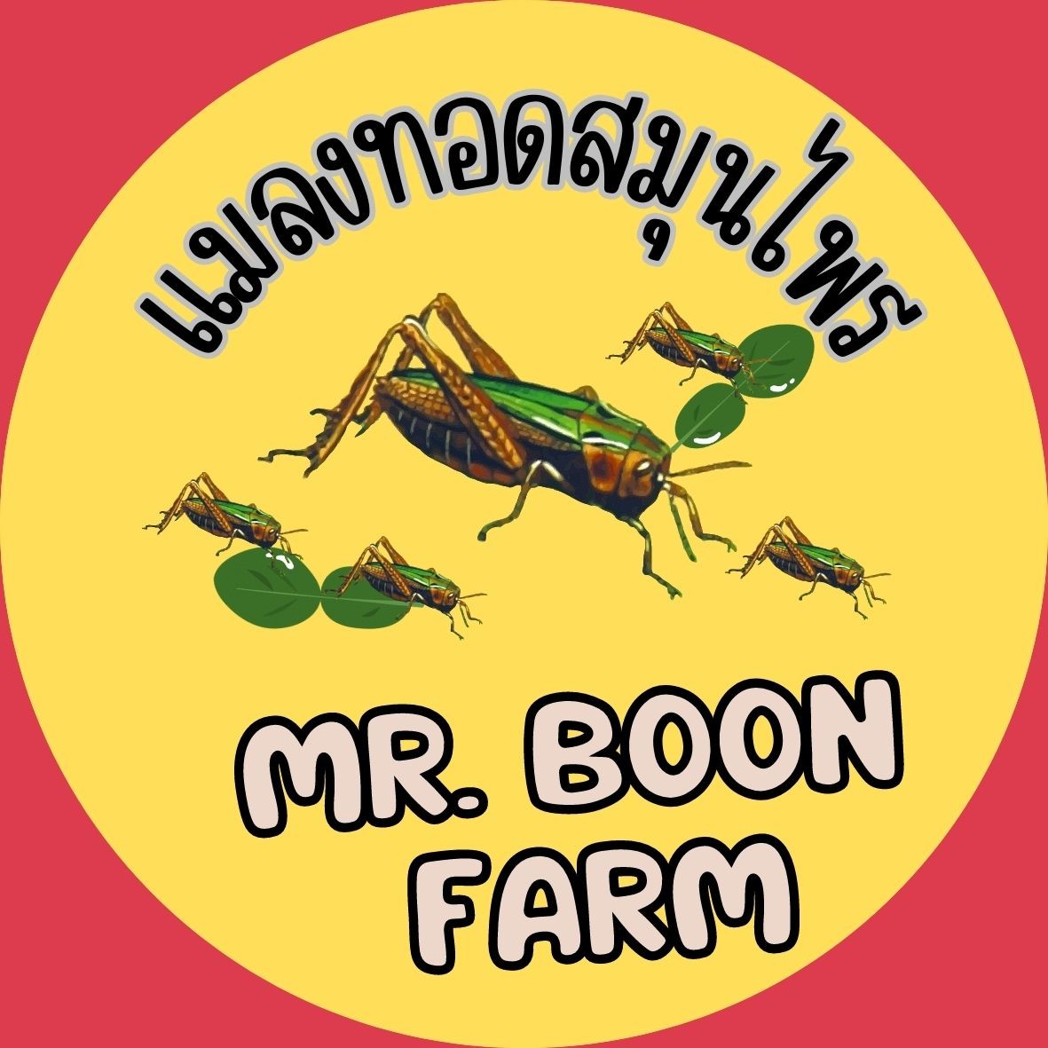 Mr.Boon Farm