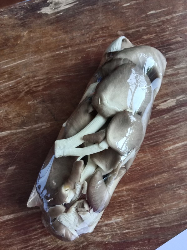 เห็ดนางฟ้า