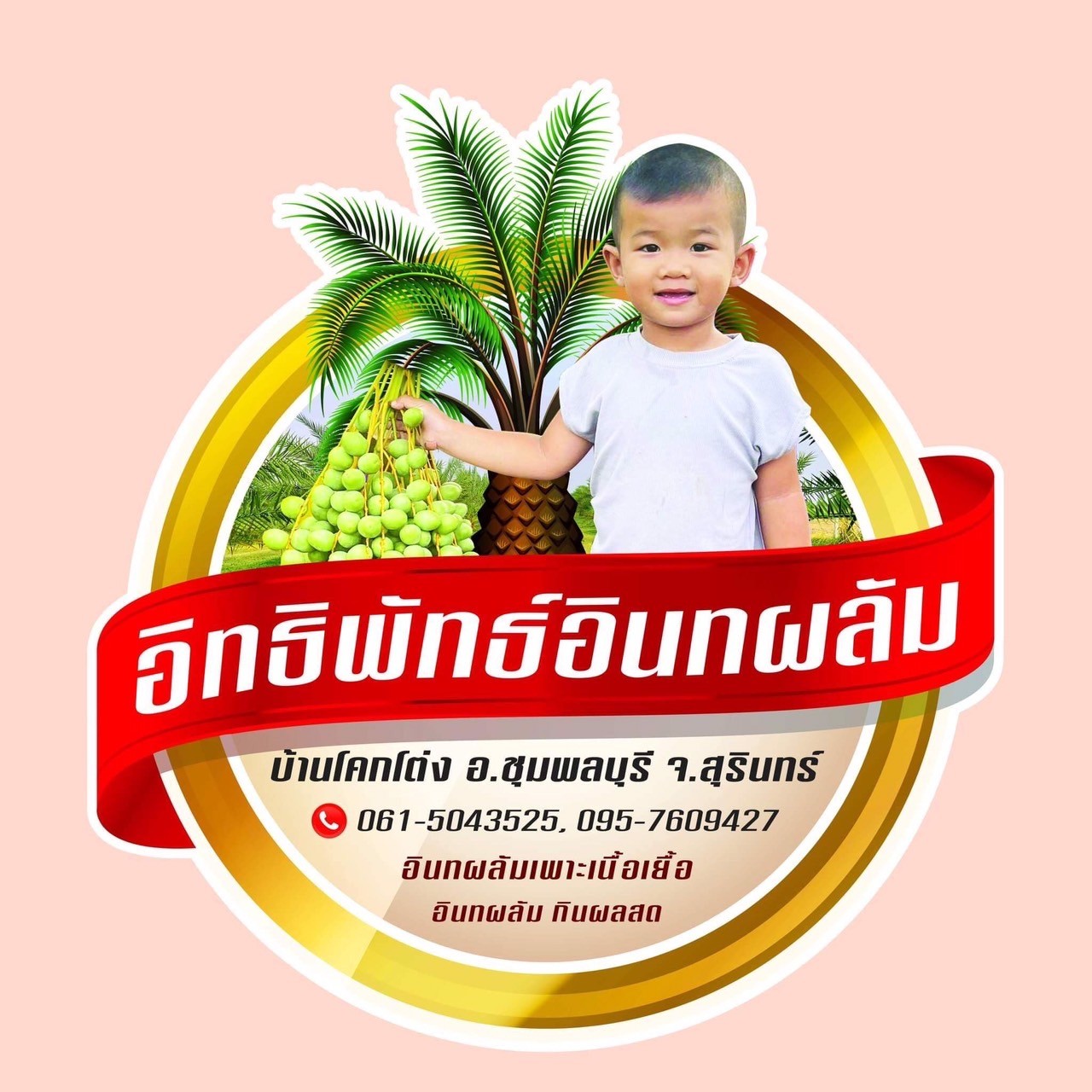 อิทธิพัทธ์อินทผาลัม