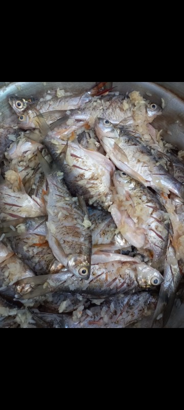 ปลาส้มปลาตะเพียน