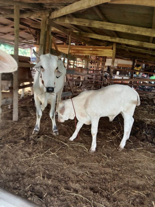 สาครฟาร์ม