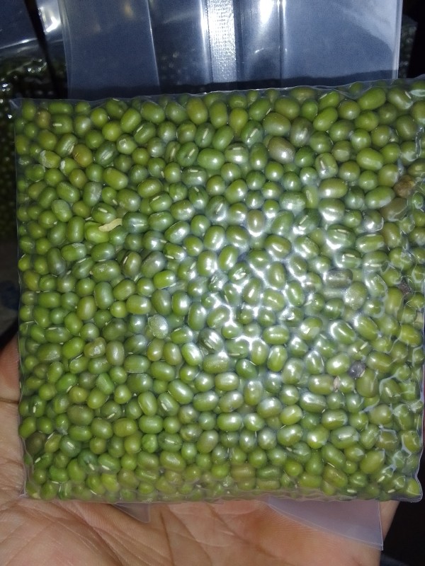 เมล็ดถั่วเขียว