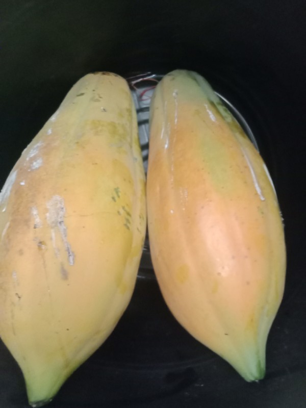 มะละกอสุก