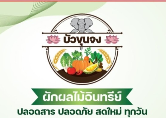 วิสาหกิจชุมชนกลุ่มปลูกผักอินทรีย์บ้านบัวขุนจง