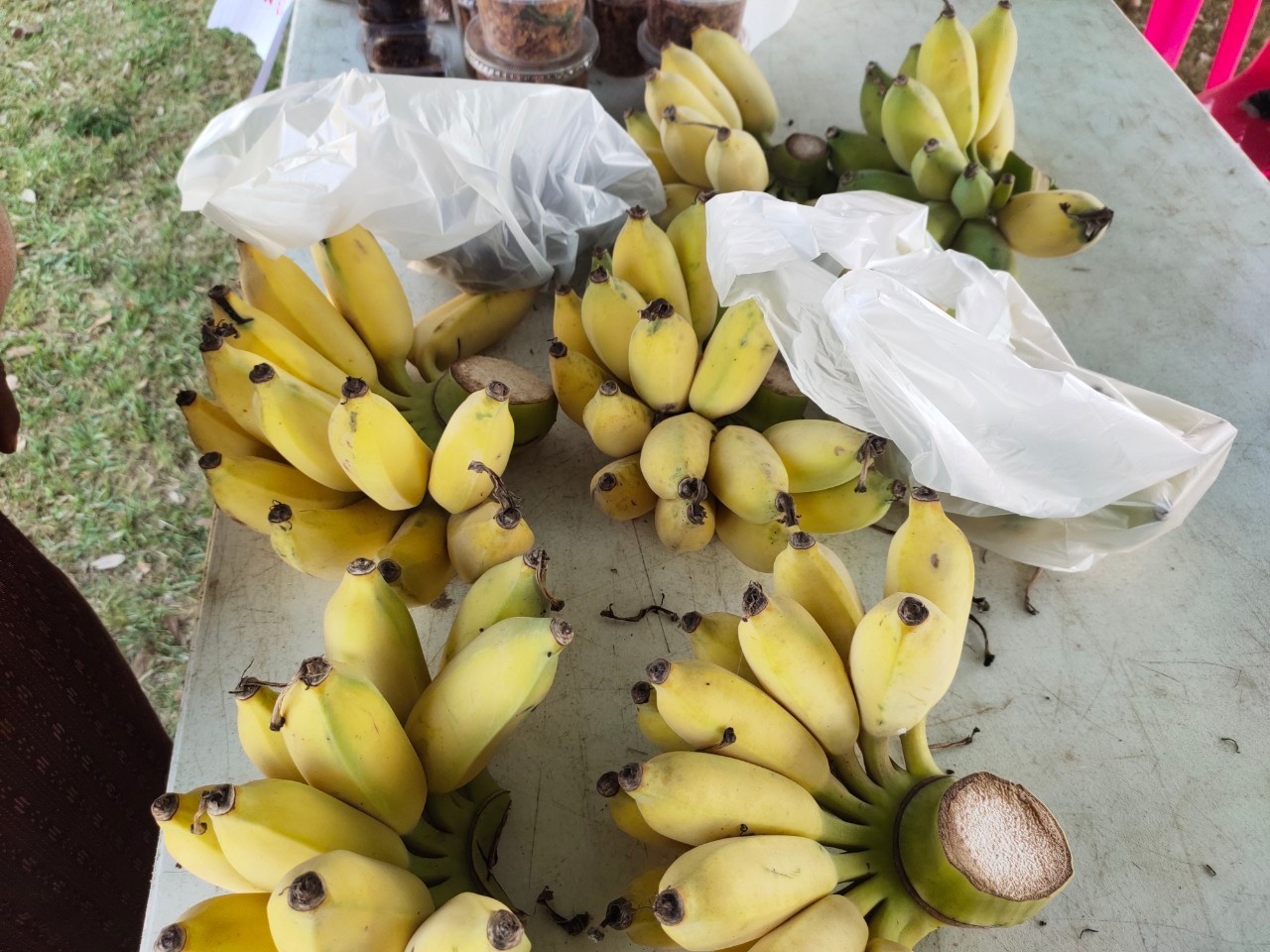 กลุ่มเกษตรกรอินทรีย์