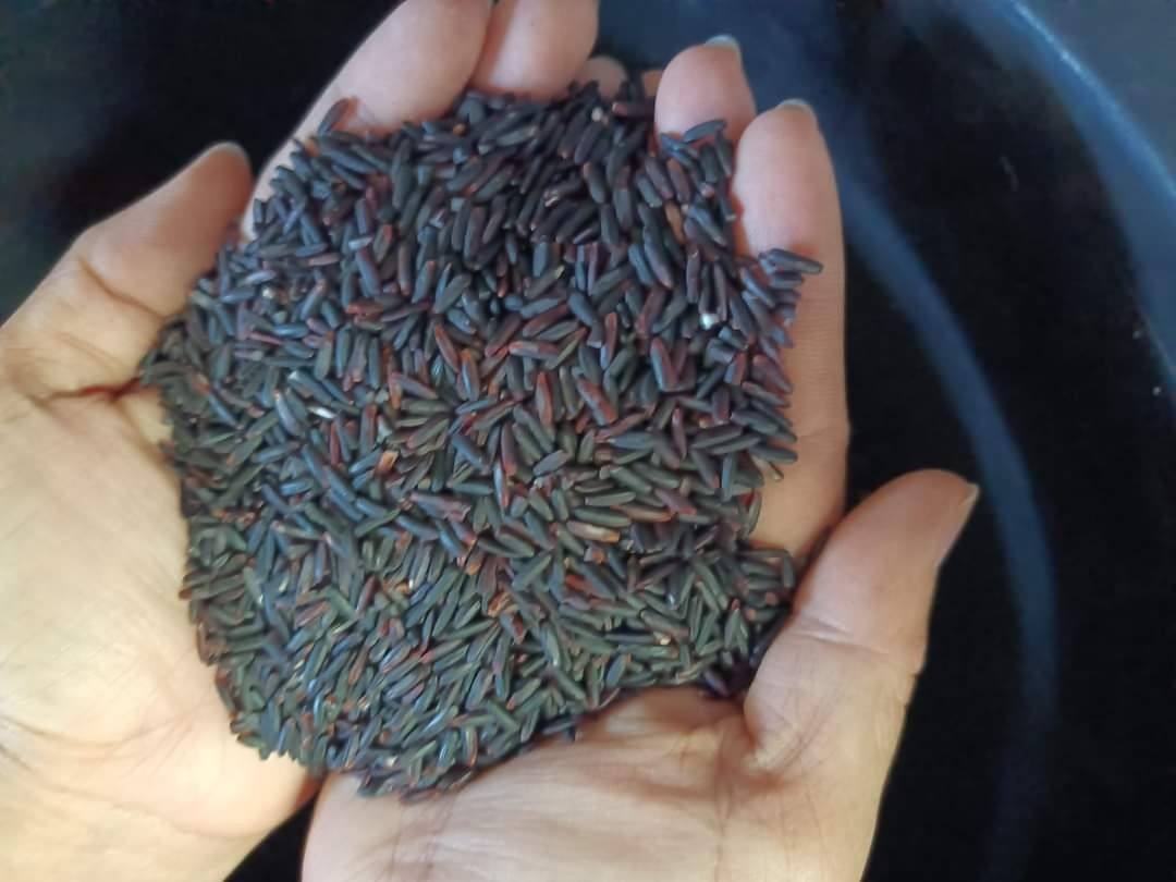 คำมีฟาร์ม