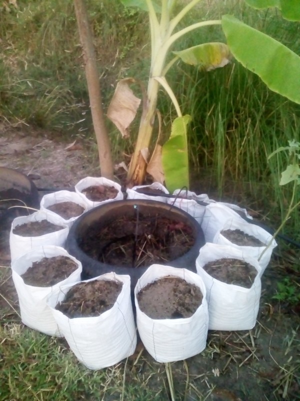 บ้านสวนแม่ดาวรุ่ง