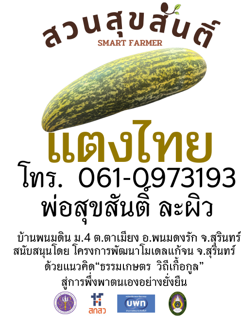 เมล็ดพันธุ์แตงไทย