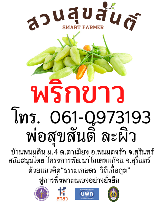 เมล็ดพันธุ์พริกขาว