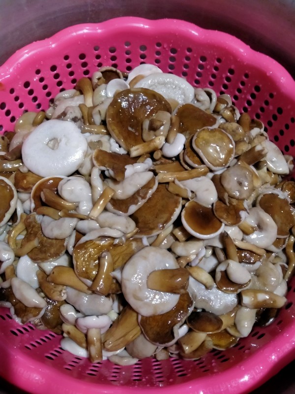 เห็ดผึ้งขม