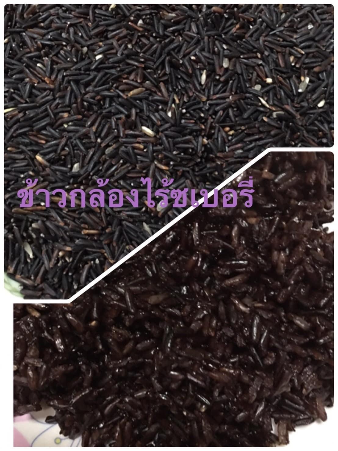 ข้าวสารอินทรีย์