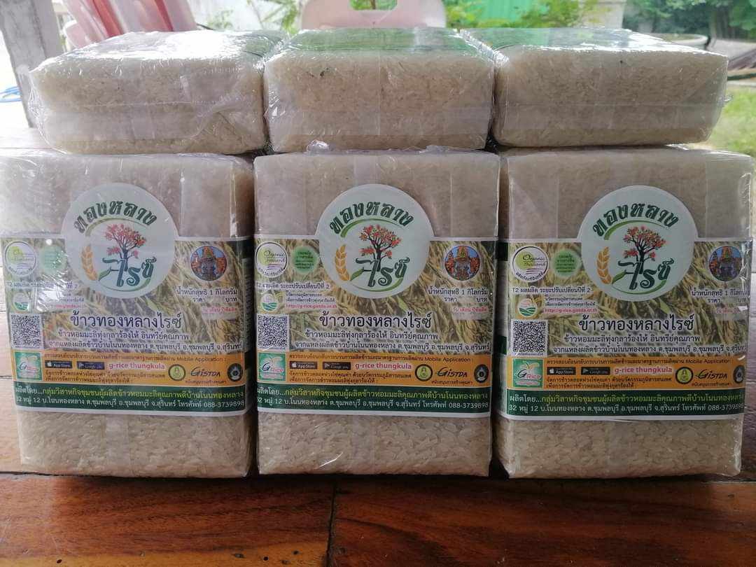 ข้าวหอมมะลิ มาตรฐานgiทุ่งกุลาร้องให้