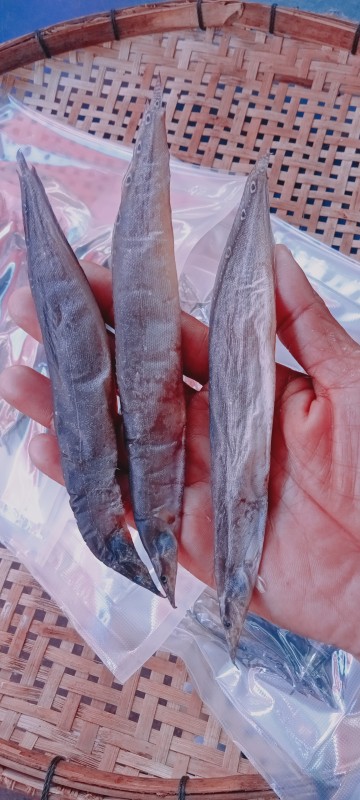 ปลาหลดแห้ง