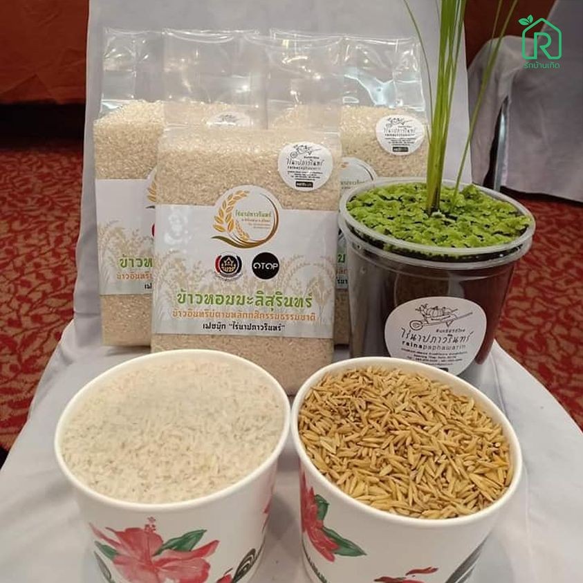 ข้าวหอมมะลิสุรินทร์