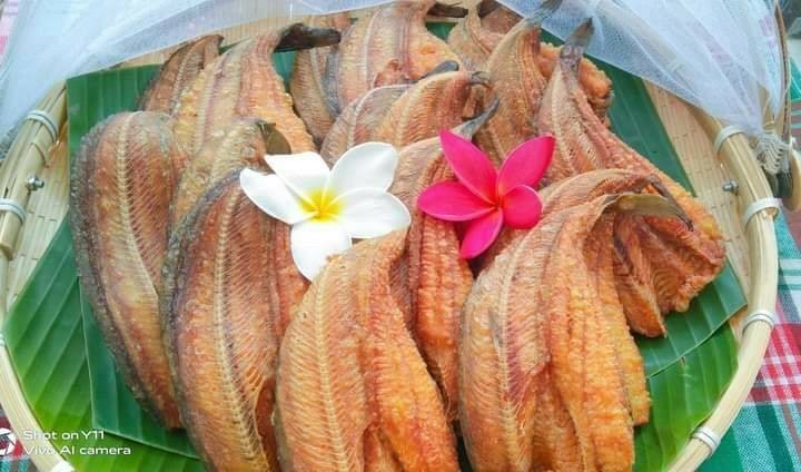 ปลาดุกแดดเดียว