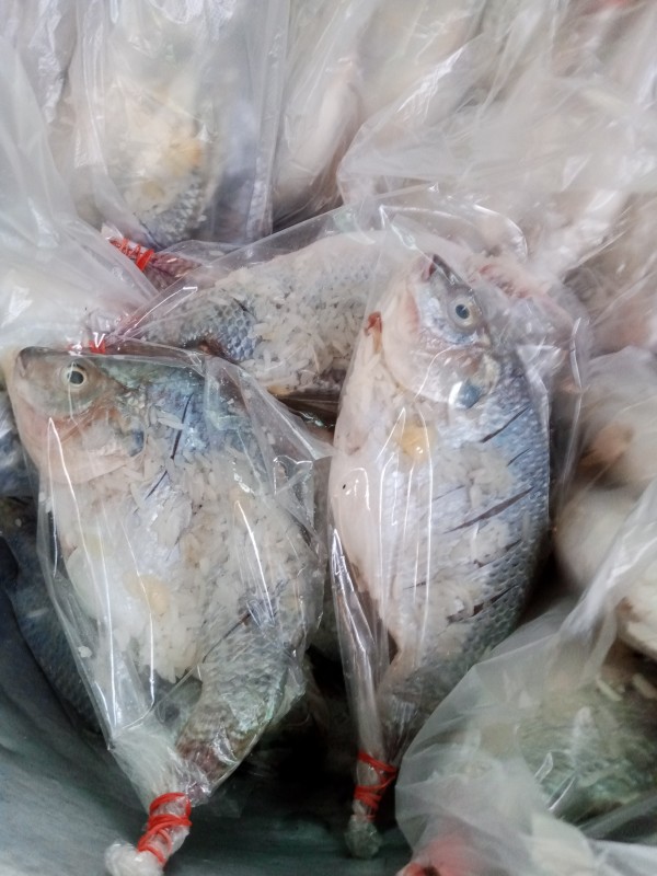 มีตังค์ปลาส้ม